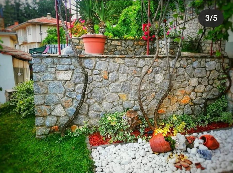 Snegar Apartments Ohrid Bagian luar foto