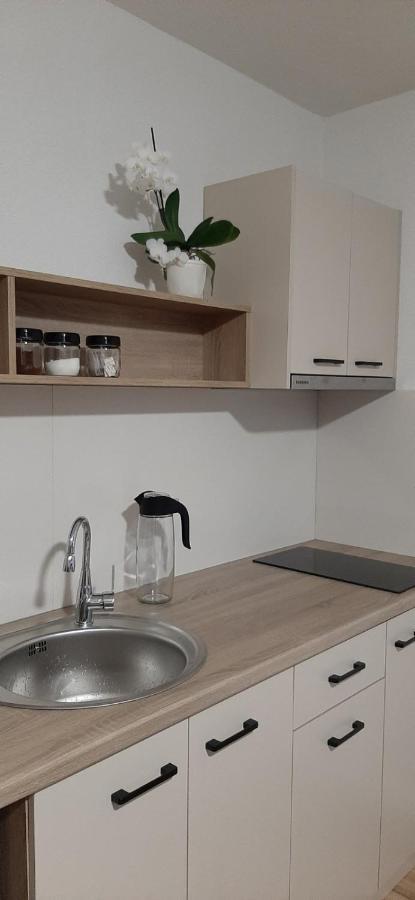 Snegar Apartments Ohrid Bagian luar foto