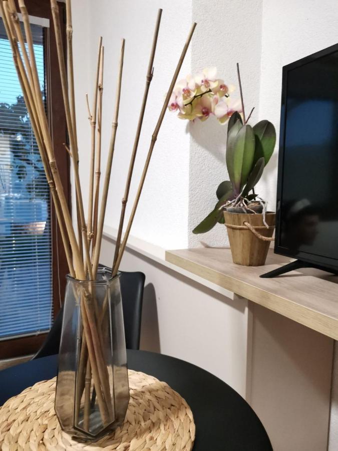 Snegar Apartments Ohrid Bagian luar foto