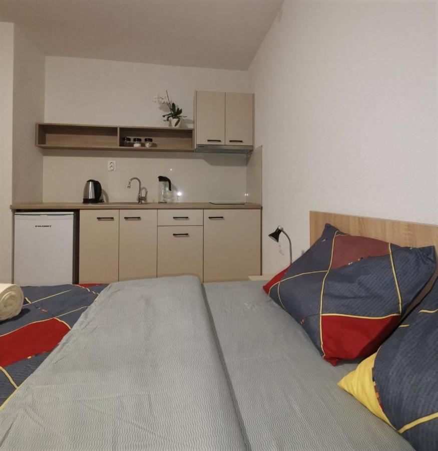 Snegar Apartments Ohrid Bagian luar foto